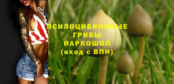 соль курить ск Балахна