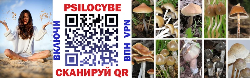 shop какой сайт  Северо-Курильск  Псилоцибиновые грибы мицелий  купить  